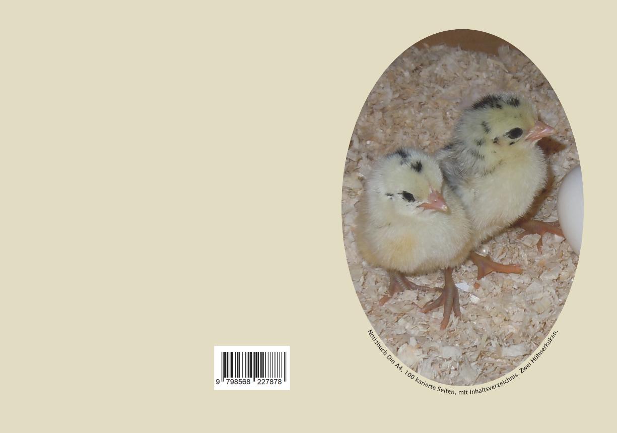 Notizbuch Din A4, Hühnerküken