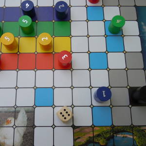 RV-Meisterschaft Das Brettspiel RV-Meisterschaft