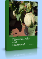 Tipps und Tricks und Taubenmist