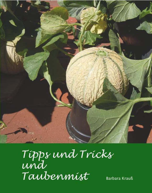 Tipps und Tricks